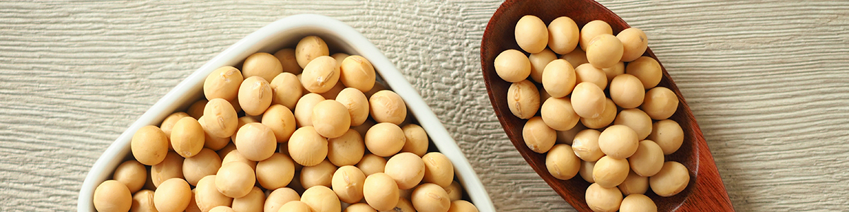 変幻自在の食材